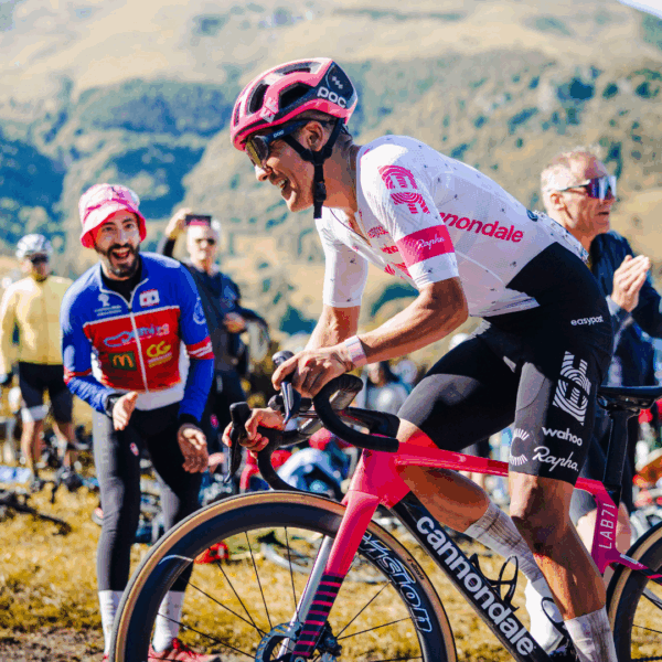 Bicicletas
